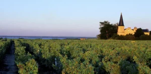 Picture of Haut Medoc
